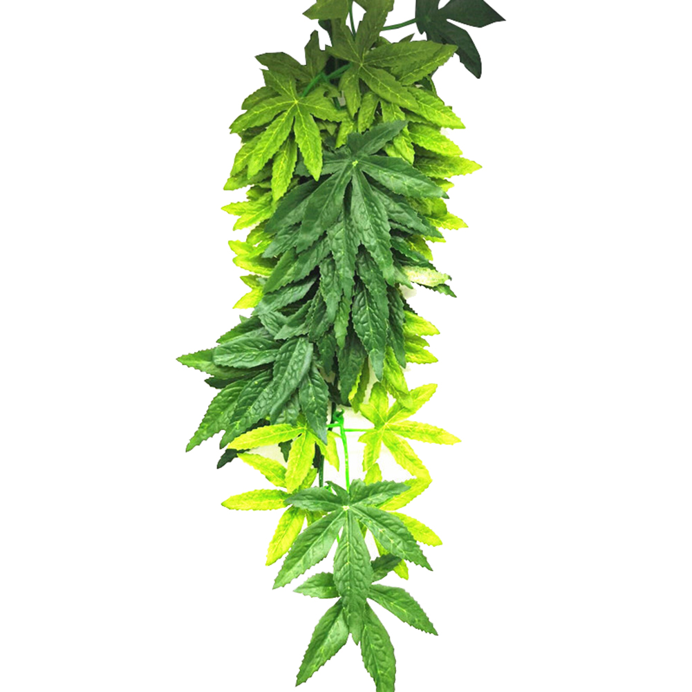 Diskon Besar 30/40/50CM Akuari - Aquarium Plants For Sale ulasan dan harga