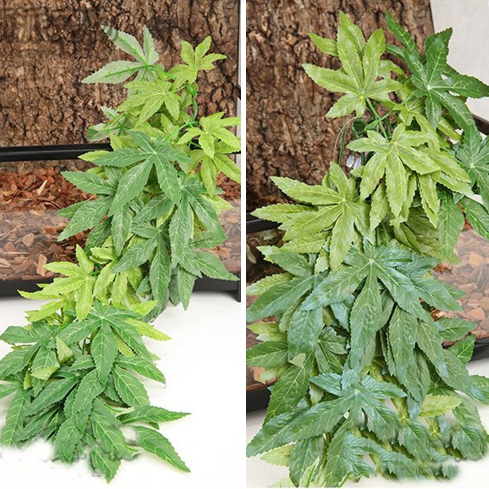 Diskon Besar 30/40/50CM Akuari - Aquarium Plants For Sale ulasan dan harga