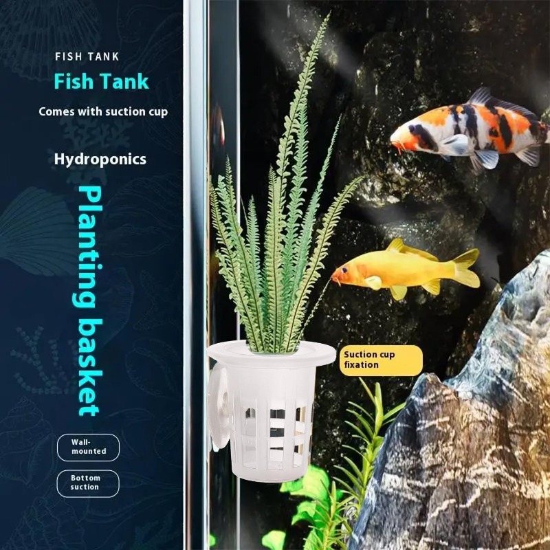 10/20/30Pcs Cangkir Tanam Akua - Aquarium Plant Design ulasan dan harga