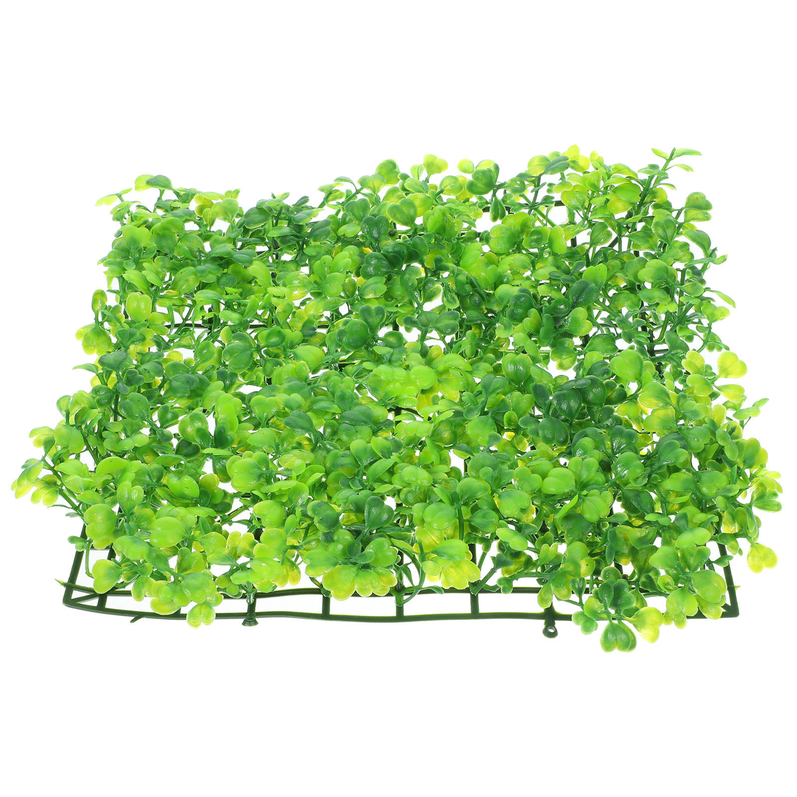 Rumput Akuarium Palsu, Tanaman - Aquarium For Planted Tank ulasan dan harga