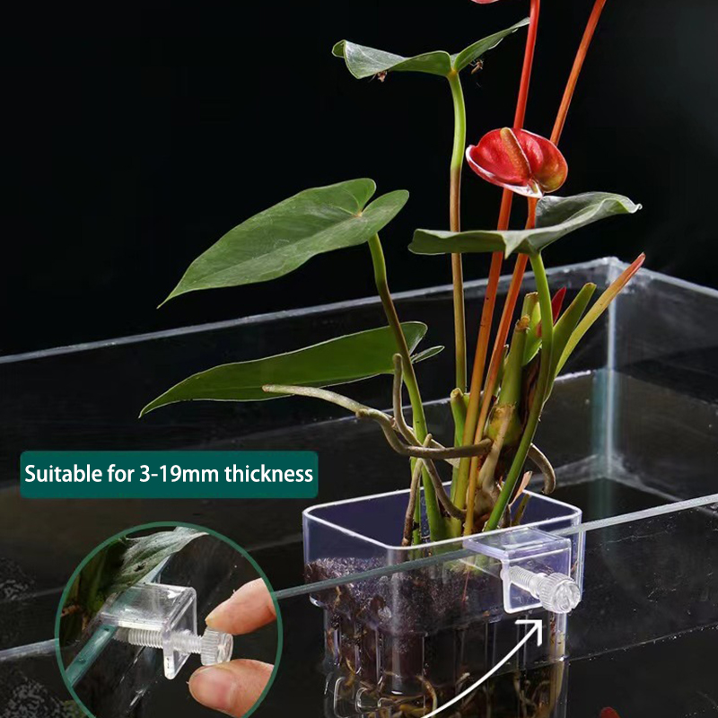 Akuarium ikan multifungsi cang - Aquarium For Planted Tank ulasan dan harga
