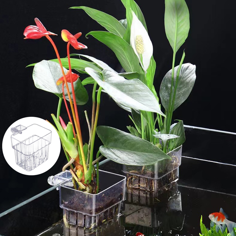 Akuarium ikan multifungsi cang - Aquarium For Planted Tank ulasan dan harga