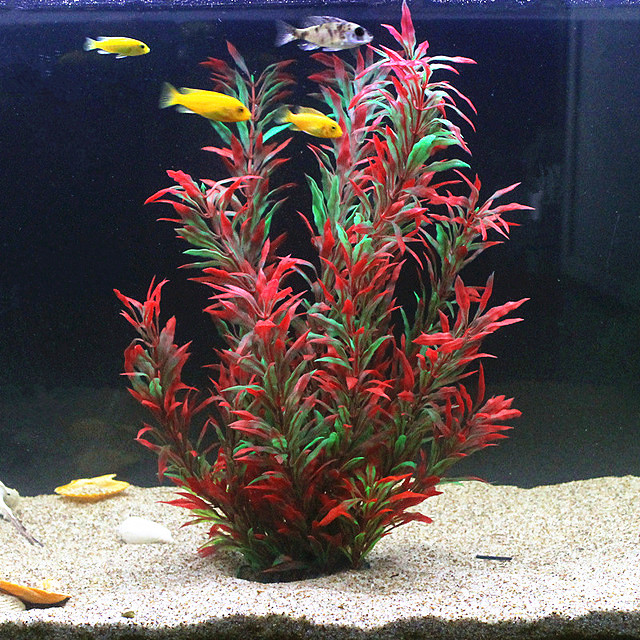 50CM Kolam Ikan Buatan Tanaman - Aquarium For Planted Tank ulasan dan harga