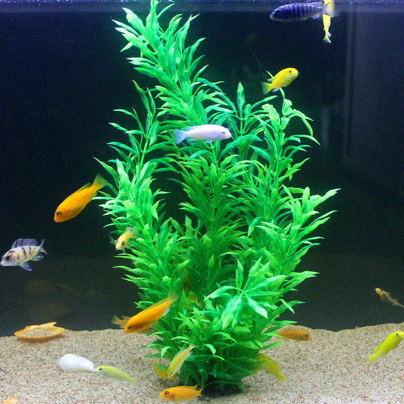 50CM Kolam Ikan Buatan Tanaman - Aquarium For Planted Tank ulasan dan harga
