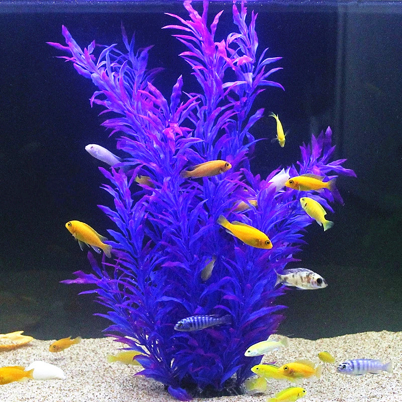 50CM Kolam Ikan Buatan Tanaman - Aquarium For Planted Tank ulasan dan harga