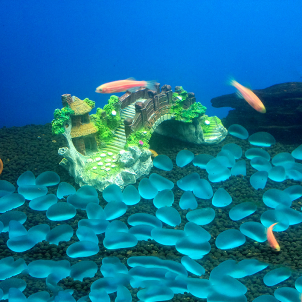 Aksesori akuarium pohon Arbor  - Aquarium Plant Design ulasan dan harga