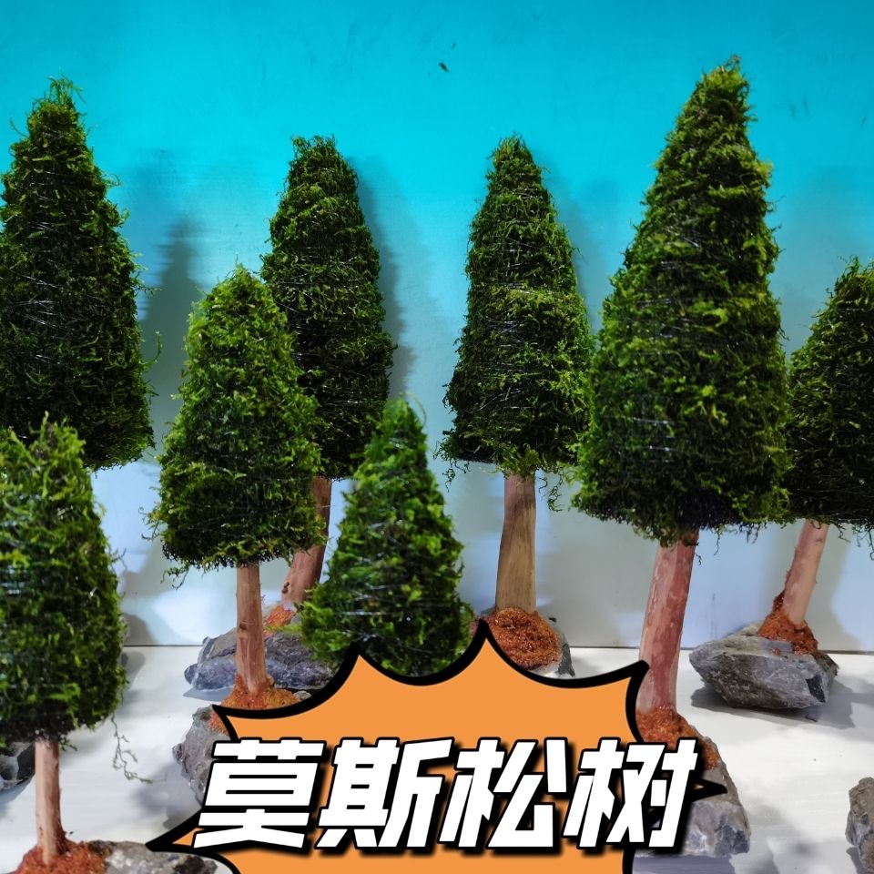 Dekorasi Akuarium Tanaman Air  - Aquarium Planted Seeds ulasan dan harga