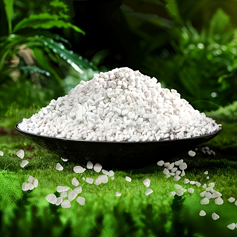 Kantong 5L, Ukuran 3-6Mm, Perl - Aquarium Sand White ulasan dan harga