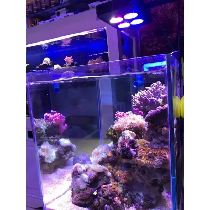 Gako A052 52w Lampu LED Akuari - Aquarium Plants For Sale ulasan dan harga