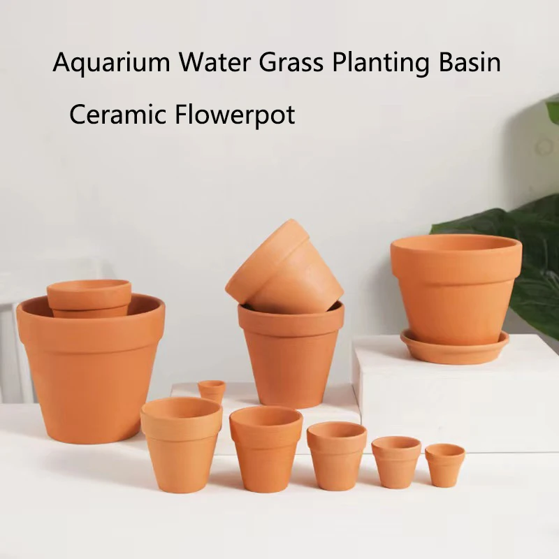Dekorasi akuarium lumpur merah - Aquarium Plant Design ulasan dan harga