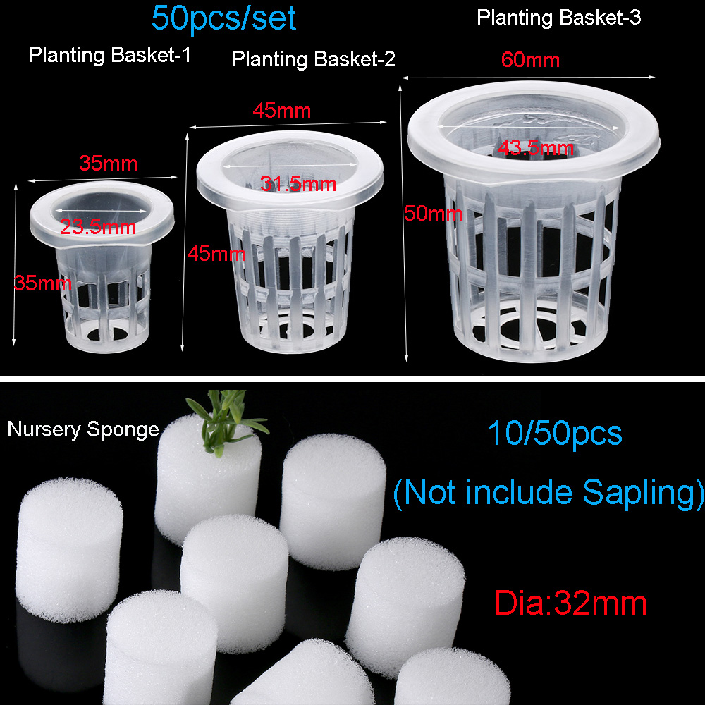 10/50 Buah Perlengkapan Berkeb - Aquarium Planted Seeds ulasan dan harga